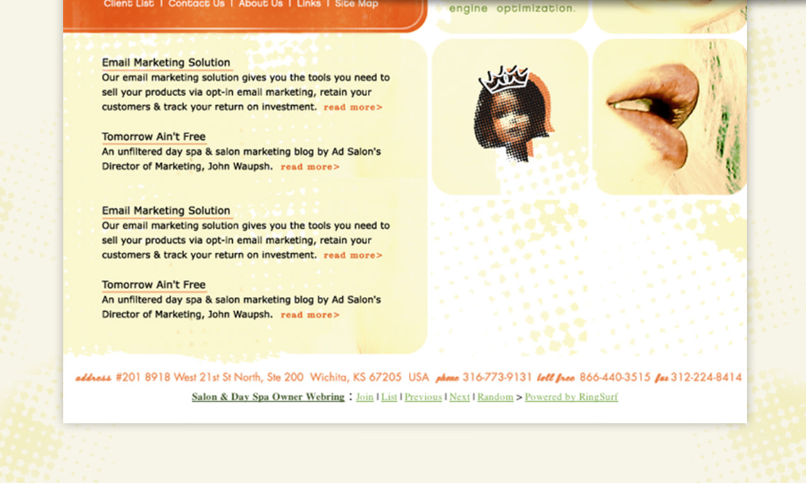 View of AdSalon's website design, designed by Entermotion, a Wichita web-design studio.