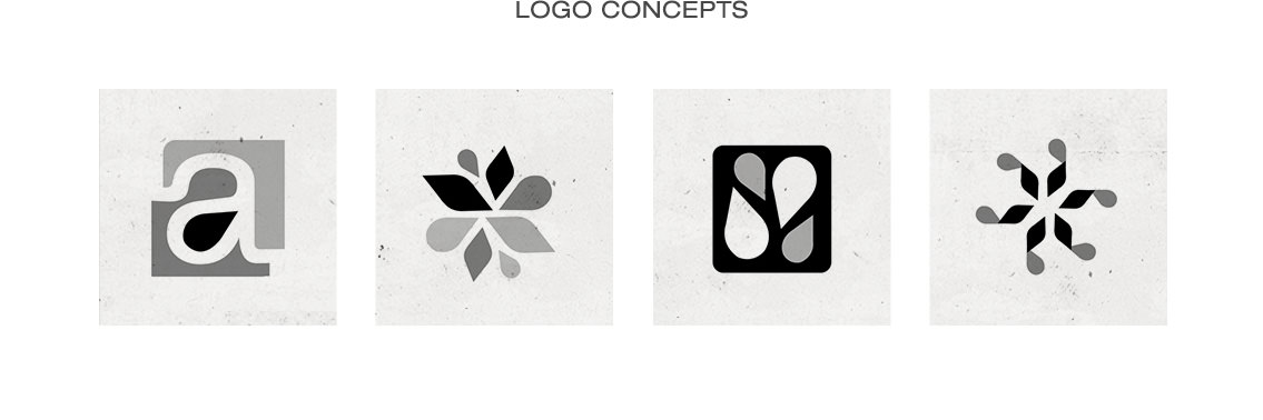 View of Anantha Energy's logo concepts, designed by Entermotion, a Wichita web-design studio.