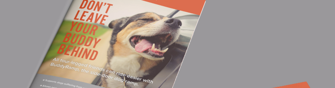 Brochure with a photo of a dog and text reading, “Don’t leave your buddy behind.”