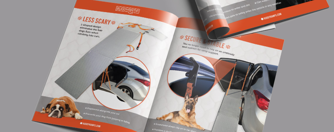 Double-paged brochure demonstrating the various uses of a Buddy Ramp.