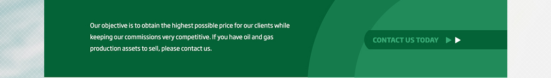 White text on green background and contact button.