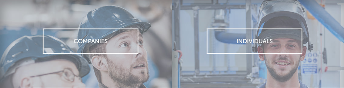 Two buttons for “Companies” and “Individuals with watermarked images in the background.