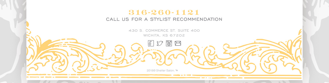 Shelter Salon text above yellow decorative illustration.