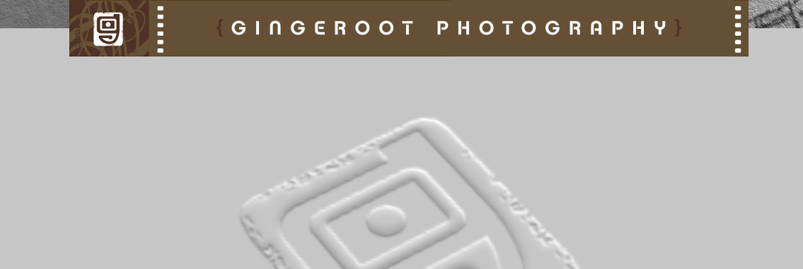 Close-up view of Gingeroot's website design, designed by Entermotion, a Wichita web-design studio.