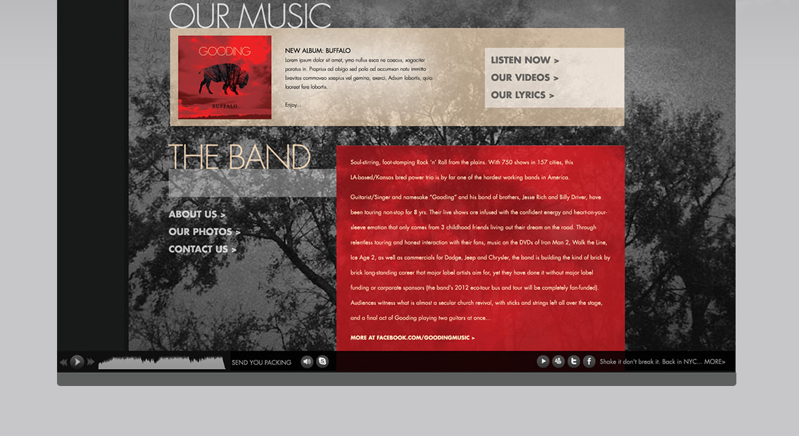 Snippet of Gooding's music page design, featuring a buffalo on a CD cover.